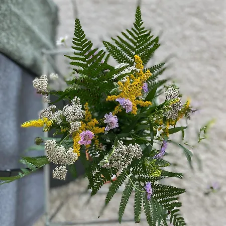 Casa Ai Lupi With Panoramic View * Gordola