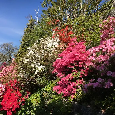 Casa Ai Lupi With Panoramic View *