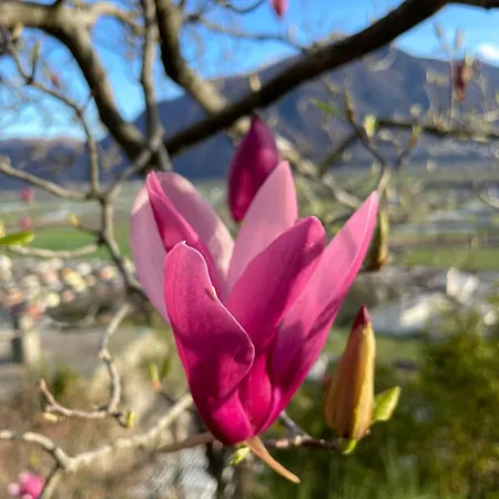 Casa Ai Lupi With Panoramic View Hébergement de vacances *