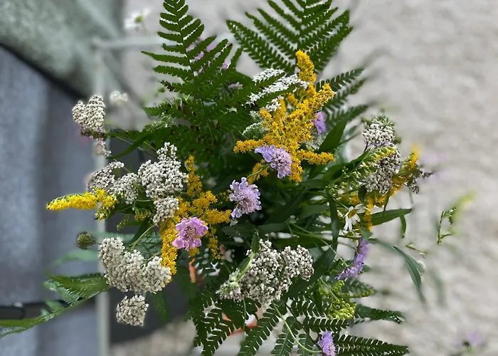 Casa Ai Lupi With Panoramic View * Gordola