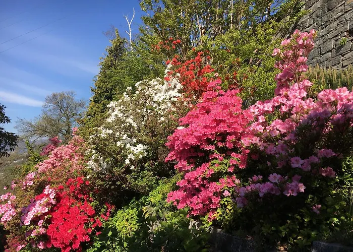 Casa Ai Lupi With Panoramic View *