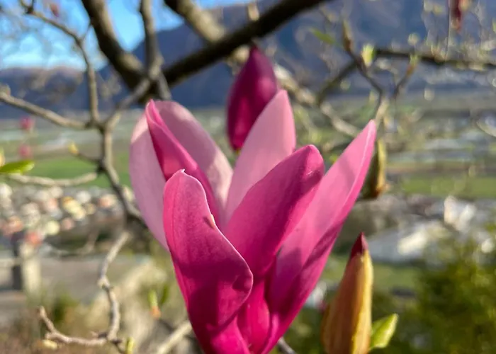 Casa Ai Lupi With Panoramic View Сasa de vacaciones *