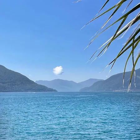 Holiday home Casa Ai Lupi With Panoramic View *