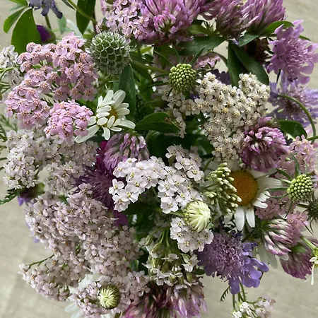 Holiday home Casa Ai Lupi With Panoramic View