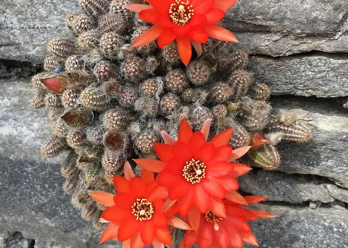 Vakantiehuis Casa Ai Lupi With Panoramic View *