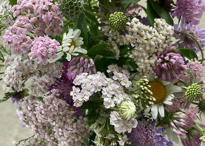 Vakantiehuis Casa Ai Lupi With Panoramic View